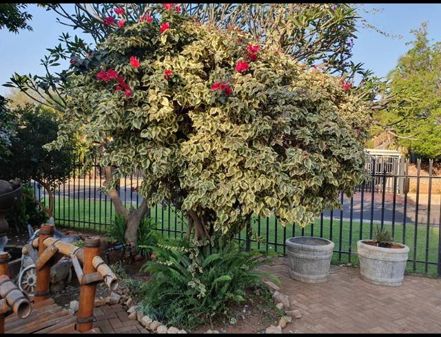 4 BEDROOM HOUSE SOLD IN THERESAPARK
